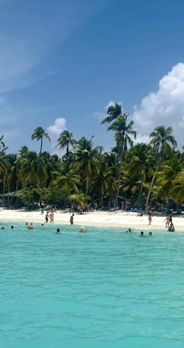 Best Shore Excursion from La Romana Cruise Port: A Half-Day Tour to Saona Island